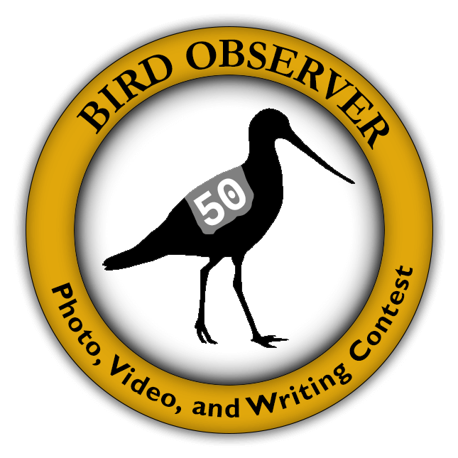 Bird Observer's Fiftieth Anniversary Photo, Video, and Writing Contest